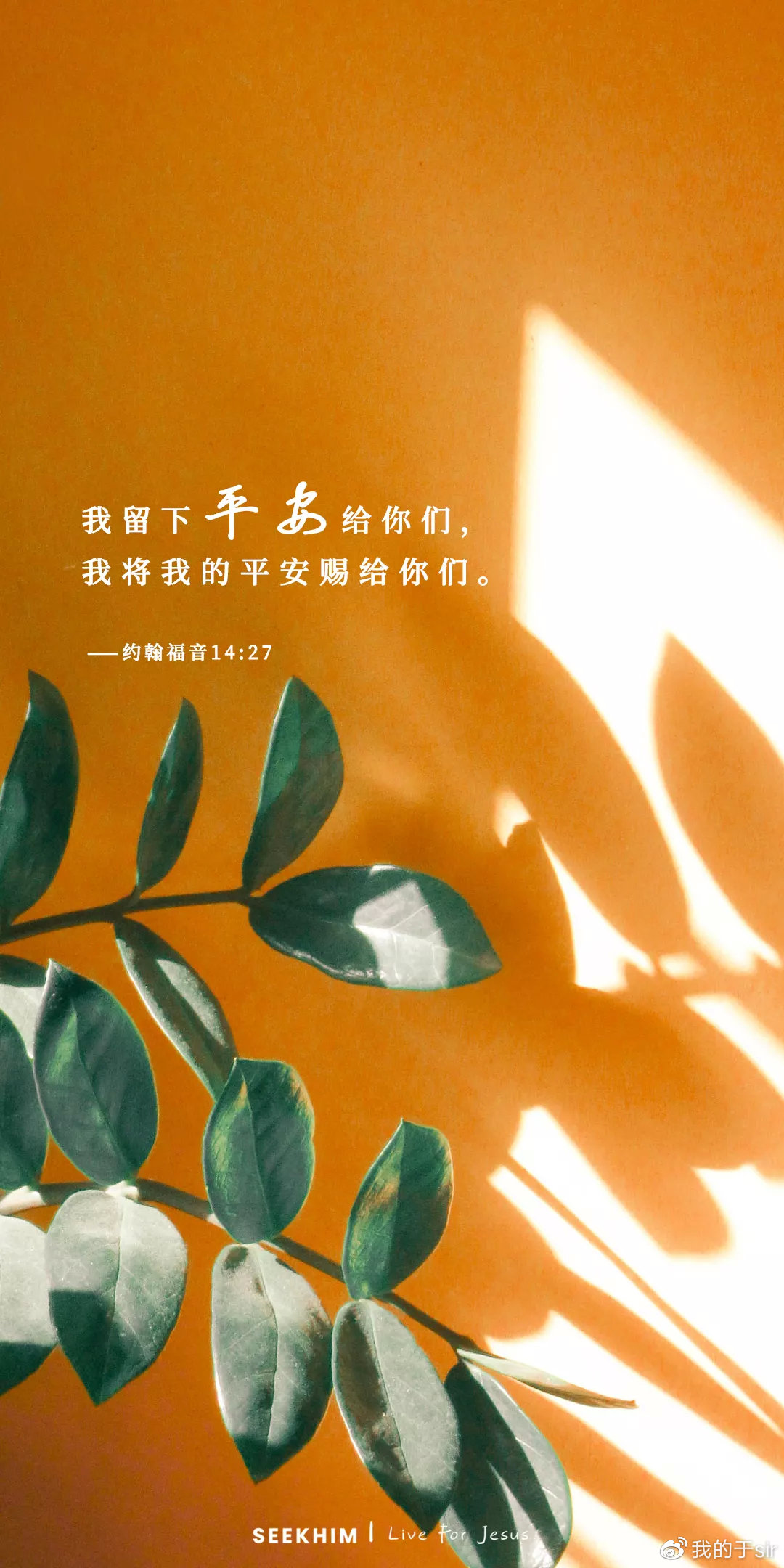 圣经灵修版手机下载微读圣经手机安装包官方